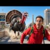 🔴 Something Strange in Vegas on Thanksgiving🤯 1080p • Livestream Chat