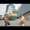 We Stay At Fontainebleau Las Vegas! (Is it worth the HYPE?)
